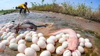 Village Fishing Life: Massive Catfish and Duck Eggs Harvest