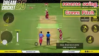 Batting tips on green pitch, dream cricket 2025 gameplay