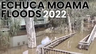 Echuca Moama Floods 2022 - Around Echuca