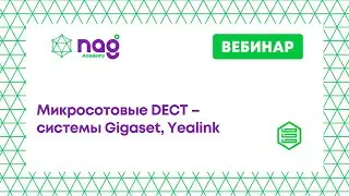 Микросотовые DECT &ndash; системы Gigaset, Yealink (от 12.10.21)