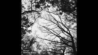 Marnyc - Growing Slowly
