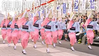 【阿波踊り】徳島市阿波おどり2025 うずき連・菊水連・葵連・悠久連 楽しかった今年の夏の余韻に浸る | Awaodori in Tokushima, Japan