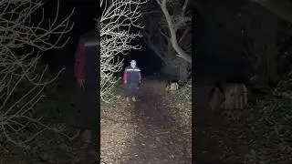 Der Mann aus dem Wald #horror #scary #paranormal #live #creepy