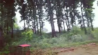 2.5 bigha land available in aamwala near dhaulas Forest View