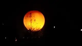 BIG ORANGE BALLOON RIDE