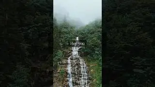 Ground in 80 Seconds | Instant Nervous System Reset 🌿 #thezenstatemind #meditation #innerpeace