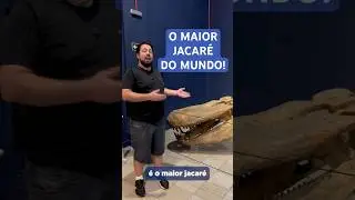 PURUSSAURUS: um JACAR&Eacute; gigante BRASILEIRO! #f&oacute;sseis #curiosidades