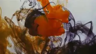 Guided Meditation: A Sensory Journey In The Orchard