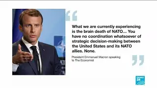 Is NATO really suffering 'brain death' as French president Emmanuel Macron​ claims?