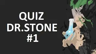 QUIZ DR.STONE #1 [FR]
