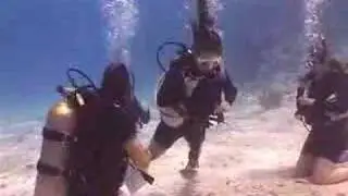 Learn to dive by Red Sea College