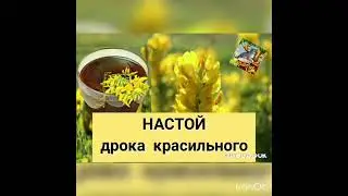 ДРОК КРАСИЛЬНЫЙ 1