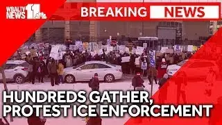 Hundreds gather in Baltimore to protest ICE enforcement, cooperation