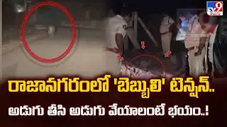 Tiger Terror in Rajanagaram : రాజానగరంలో 'బెబ్బులి' టెన్షన్.. అడుగు తీసి అడుగు వేయాలంటే భయం..! - TV9