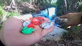 🔥 Testei Esses Micro FROG Da Shopee - PESCARIA DE TRA&Iacute;RA 🔥