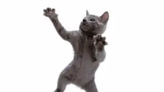 Minha sublinha kkkkkkkk(4)