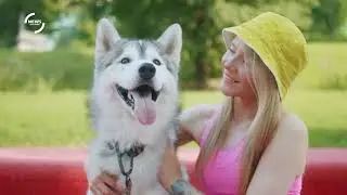 Understanding Animal Vocalizations and Their Role in Social Structures
