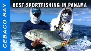 Cebaco Bay Sportfishing