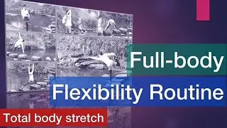 FULL BODY FLEXIBILITY ROUTINE - Total body stretch (no equipment needed) - James Tang Fitness