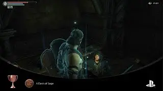 Demon's Souls a dash of sage trophy