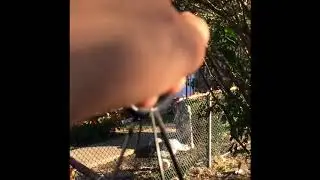DIY Fogging hanging cauldron