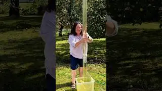 Physic Trick