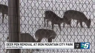 Iron Mountain to remove deer pen from city park