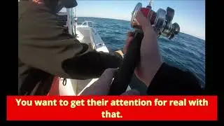 Winter Red Snapper Fishing With Miller Fishing Company