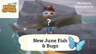 100% Bugs & Fish Guide for June: Animal Crossing New Horizons