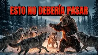 El Brutal Clan de Lobos que Aprendi&oacute; a Cazar Osos