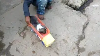 Dalveer singh D.P