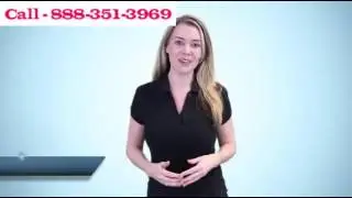 Bat Removal Florida - Cheap Bat Removal in Florida