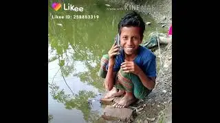 All bangladas