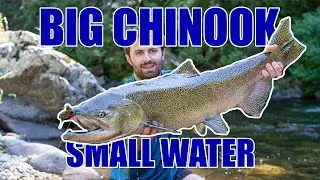 Unexpected Chinook on 5wt