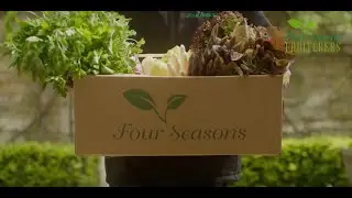 Four Seasons Fruitiers - Web Commercial
