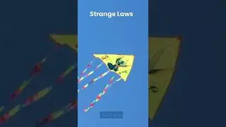 Did You Know Its illegal To FLY A KITE in Australia | Strange Laws #shorts #kite