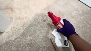 Carpet spot and stain removal.