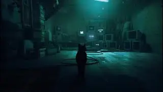 Stray Can't Catch Me Trophy