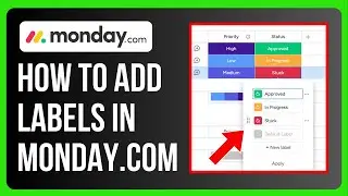 How to Add Labels in Monday.com