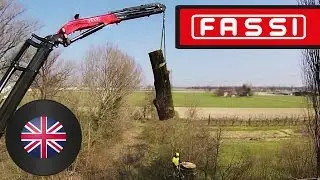 Fassi crane and tree climbing