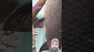 hat borseta ja eto boro mach porba key vaba ne😱😱#viral #fishing #fish #fishinggear #shots #hookfish