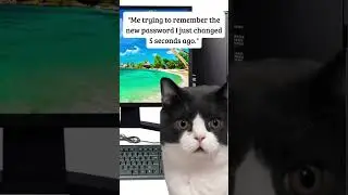 Computer Password #shorts #computer #password #funny #meme