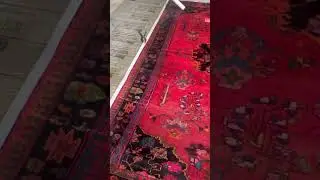 Oriental rug Vegetables dye  urine odor removal by PetPeePee company