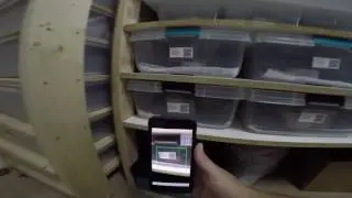 reptile scan