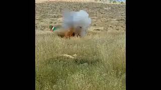 When an Israeli soldier hit the Palestinian flag .#news