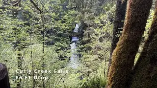 (4K UHD) HIKING Lewis River Trail to Curly Creek Falls! | Gifford Pinchot National Forest Washington