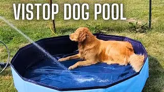 Puppy Pool | VISTOP Medium Foldable Dog Pool,