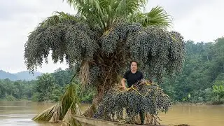 Life in the wilderness, foraging for natural food, fishing - Outdoor cooking, river survival