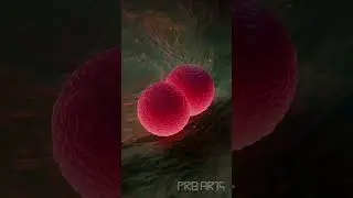 The Unseen World: A Cinematic Look at Staphylococcus aureus #biology    #microbiology #science