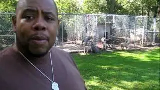 Inside the Kennel/w Dave 'THE DOG FATHER' Kirklen